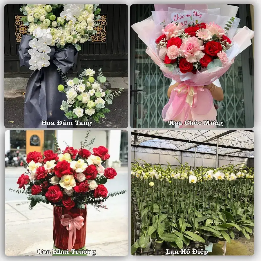 Đặt hoa tại Phường Hà Tiên, An Giang – giao tận nơi, duyệt mẫu trước