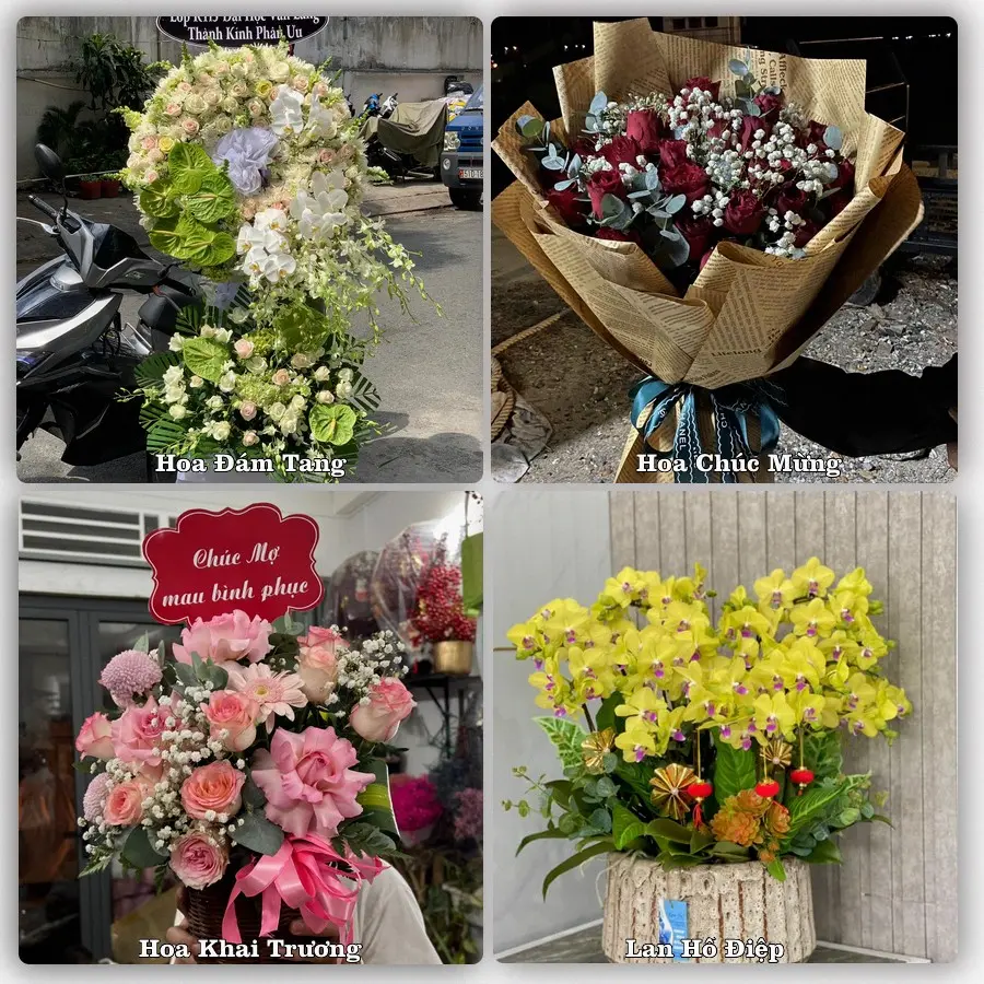 Tư vấn chọn hoa theo người nhận và dịp tặng tại Phường Hà Tiên - Tỉnh An Giang