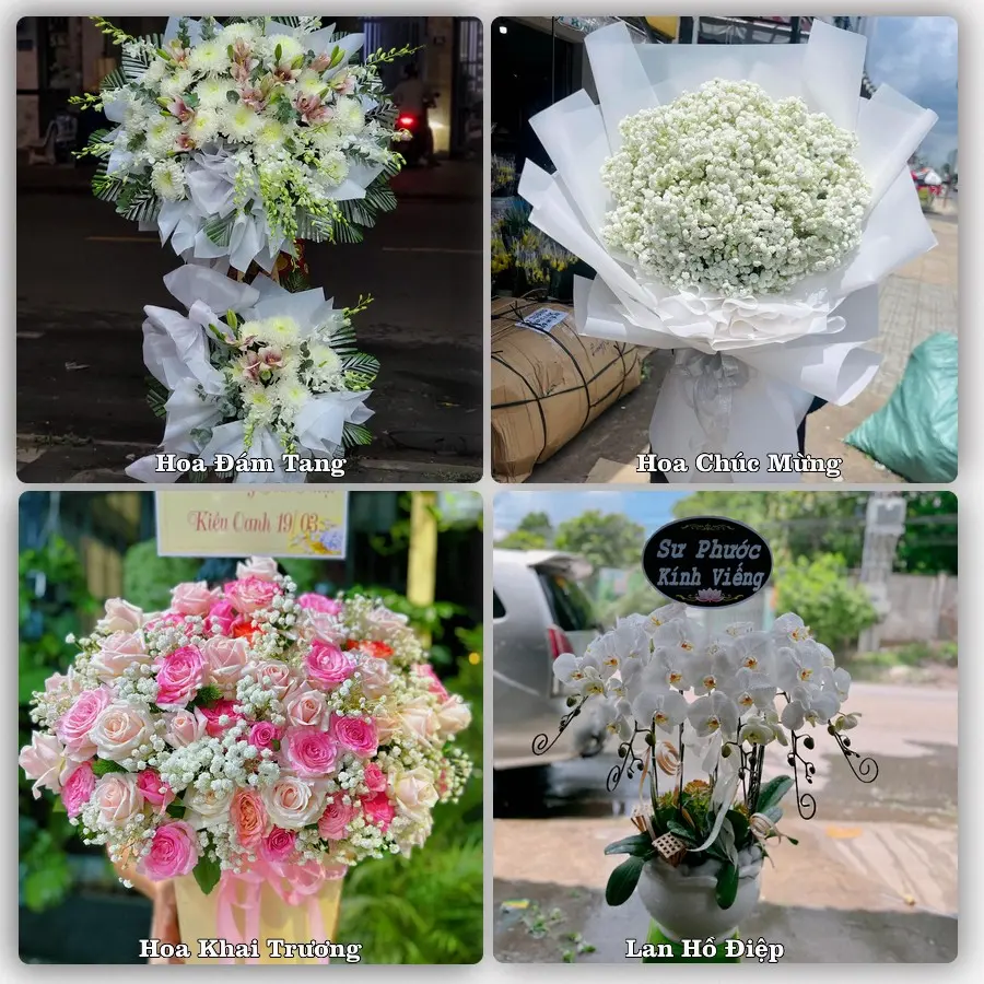 Tư vấn chọn hoa theo người nhận và dịp tặng tại Xã Khoái Châu - Tỉnh Hưng Yên
