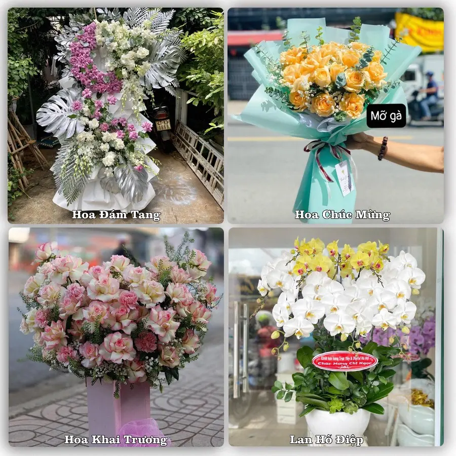 Dịch vụ đặt hoa và giao tận nơi tại Phường Nhị Quý - Tỉnh Đồng Tháp