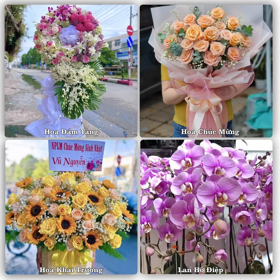Mẫu hoa phục vụ nhu cầu đặt hoa tại Phường Nhị Quý - Tỉnh Đồng Tháp