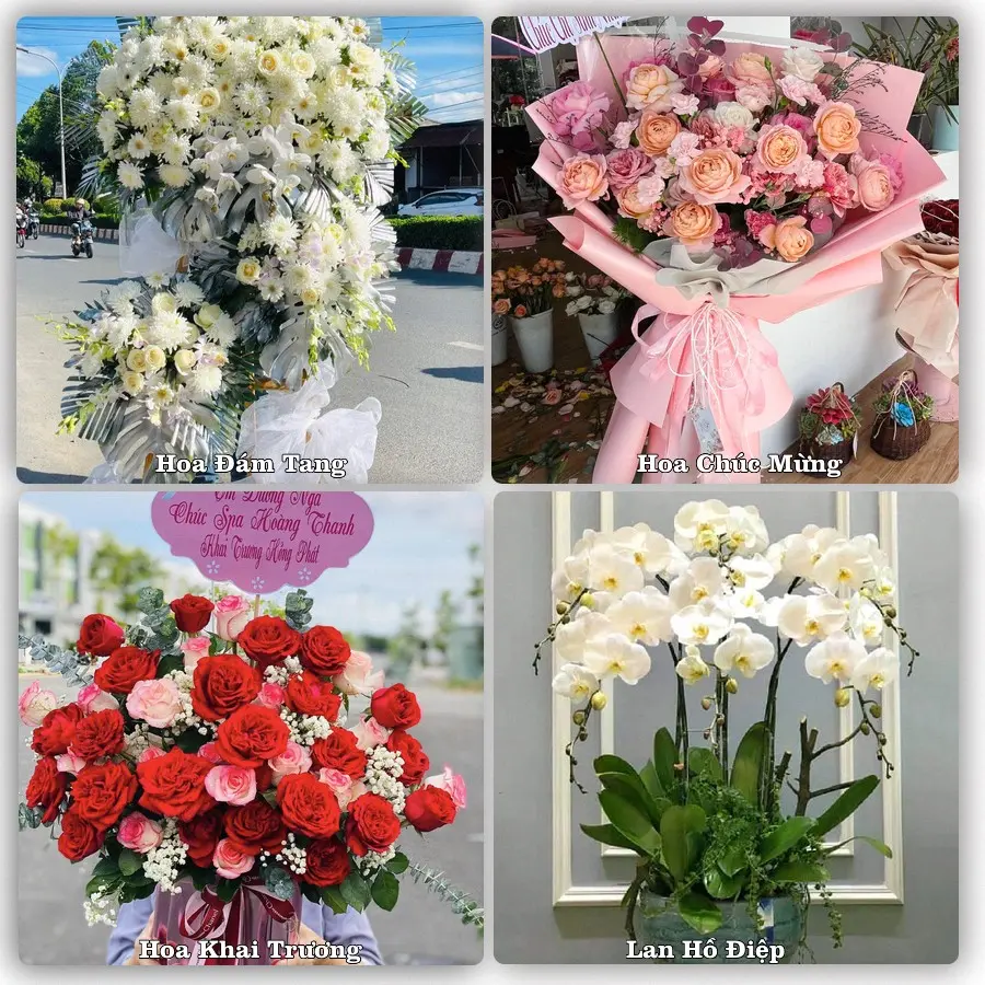 Tư vấn chọn hoa theo người nhận và dịp tặng tại Phường Nhị Quý - Tỉnh Đồng Tháp