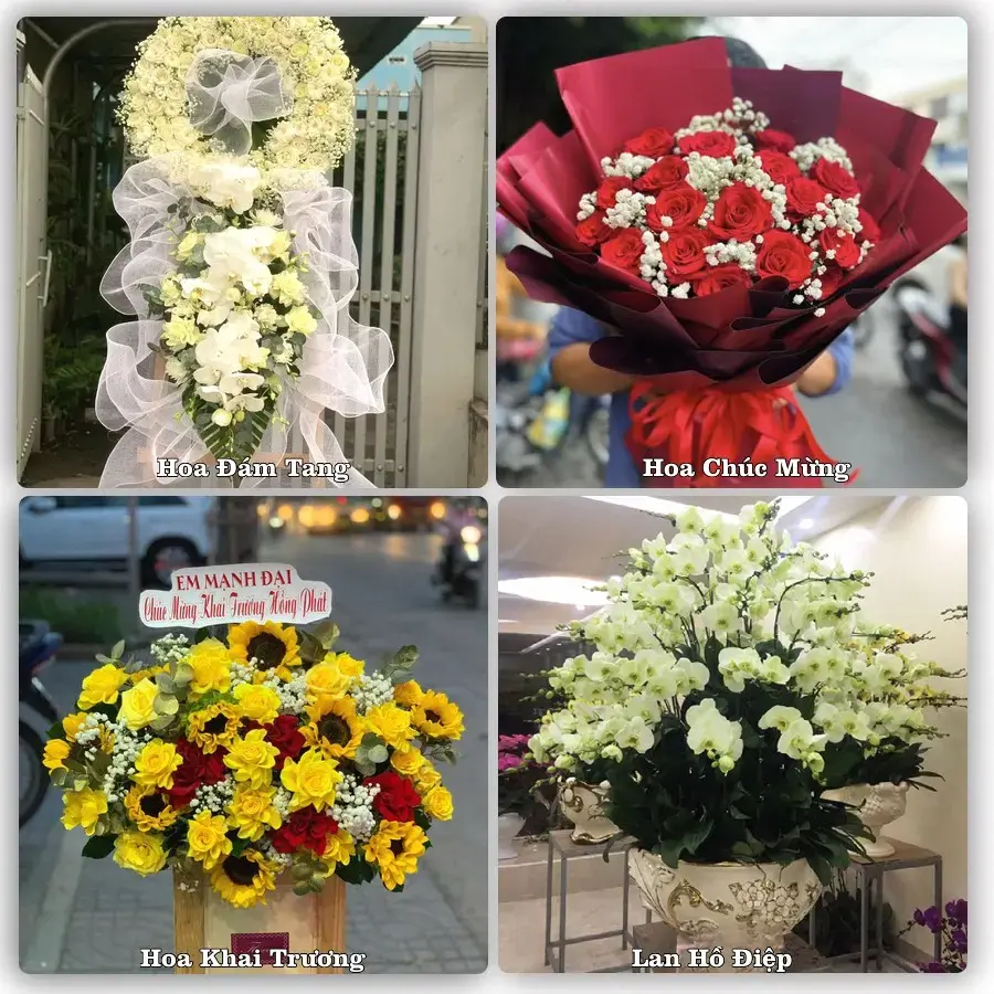 Đặt hoa tại Xã Quảng Bình, Thanh Hóa – giao tận nơi, duyệt mẫu trước