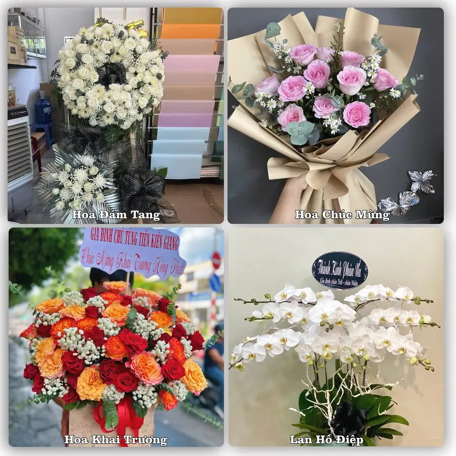 Tư vấn chọn hoa theo người nhận và dịp tặng tại Xã Quảng Bình - Tỉnh Thanh Hóa