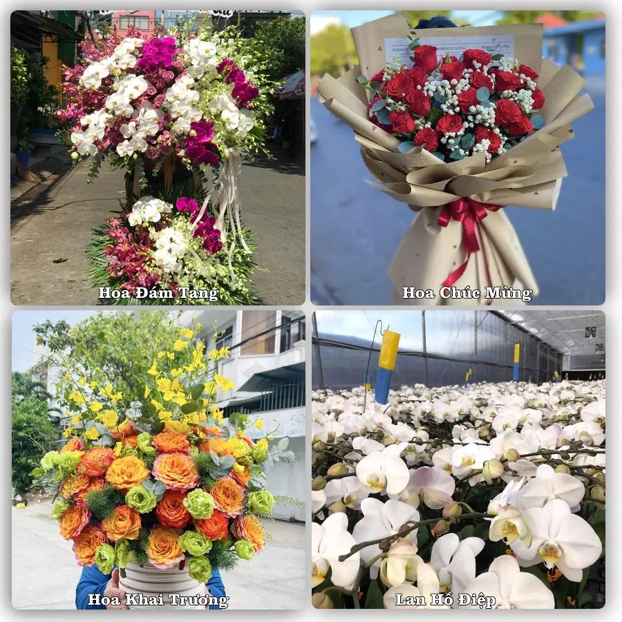 Tư vấn chọn hoa theo người nhận và dịp tặng tại Phường Thới Long - Thành phố Cần Thơ