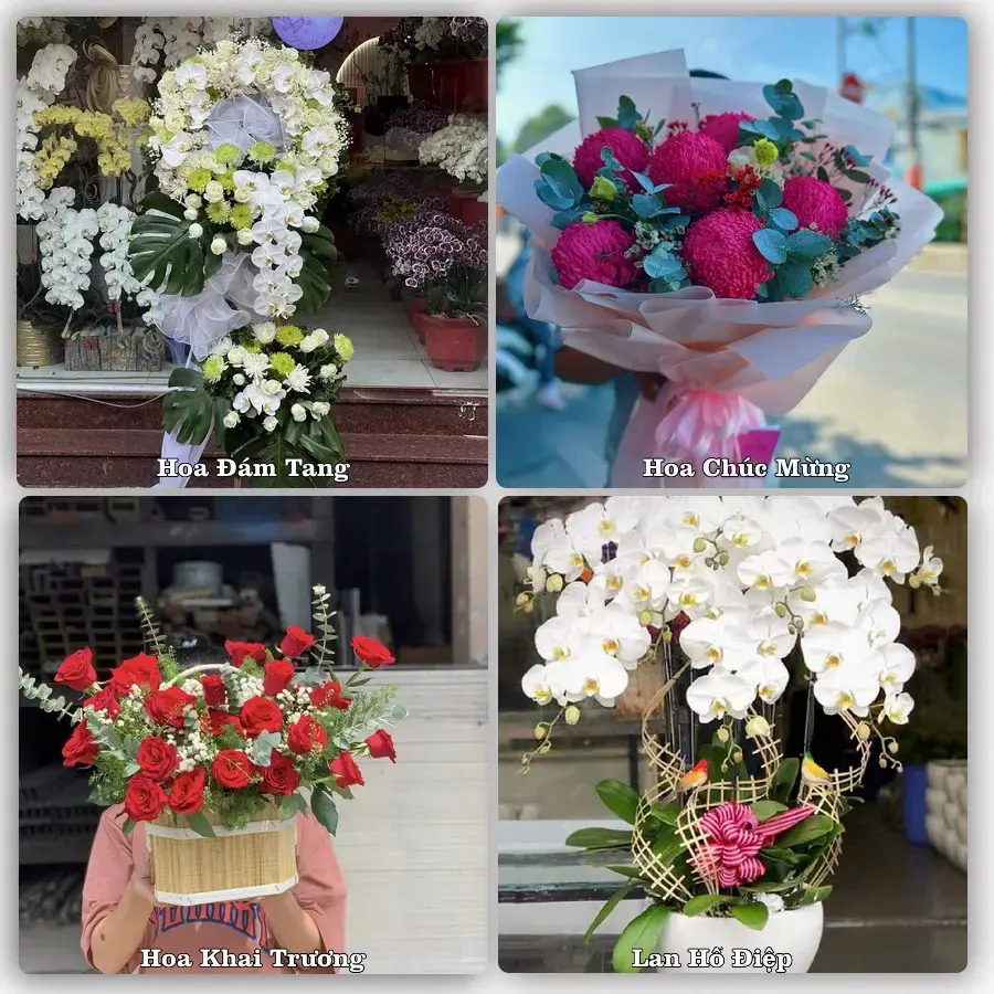 Tư vấn chọn hoa theo người nhận và dịp tặng tại Xã Thuận An - Thành phố Hà Nội