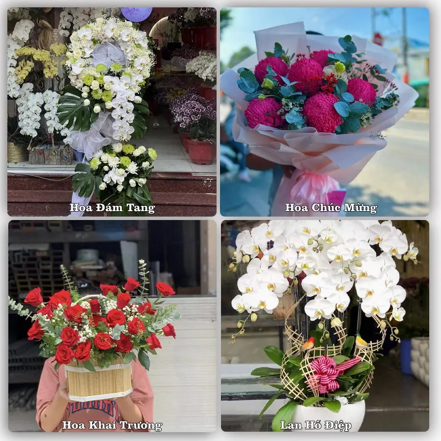 Tư vấn chọn hoa theo người nhận và dịp tặng tại Xã Thuận An - Thành phố Hà Nội