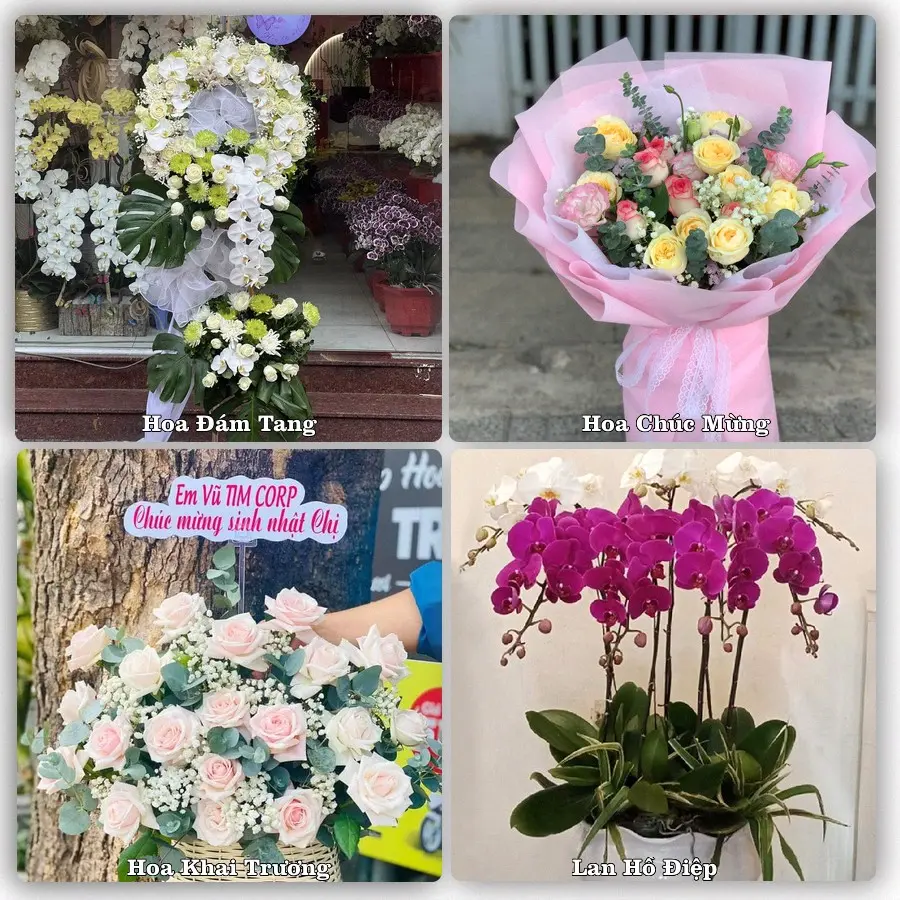 Dịch vụ đặt hoa và giao tận nơi tại Phường Vân Phú - Tỉnh Phú Thọ