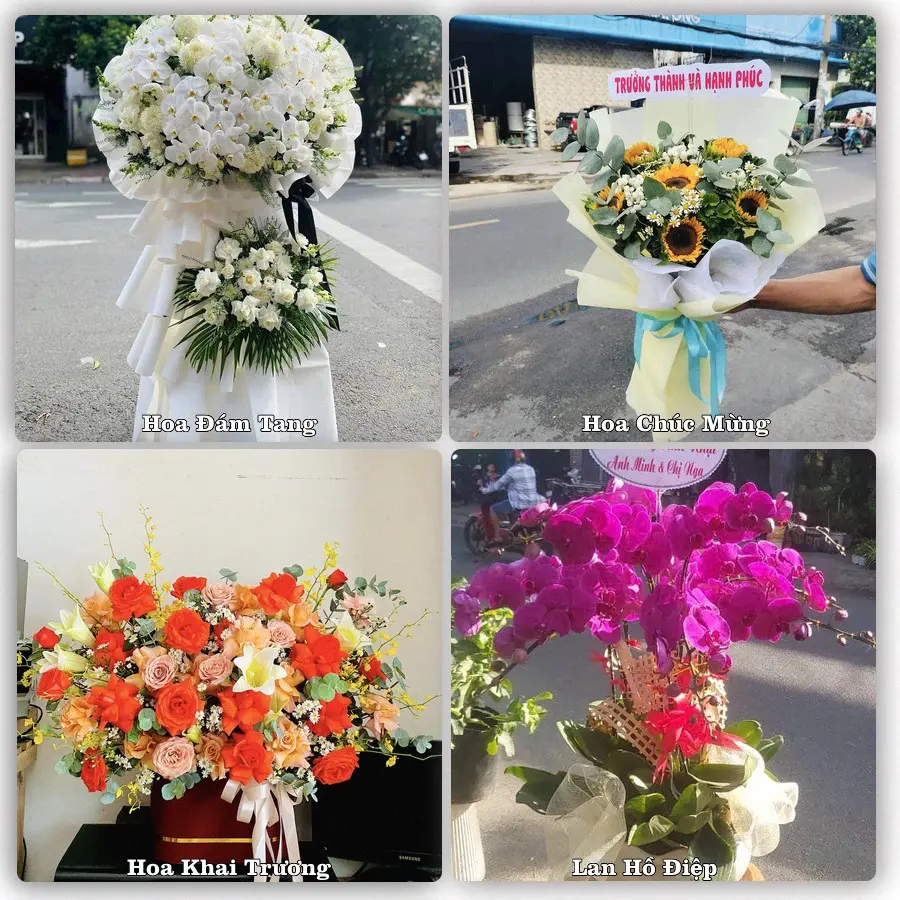 Mẫu hoa phục vụ nhu cầu đặt hoa tại Phường Vân Phú - Tỉnh Phú Thọ