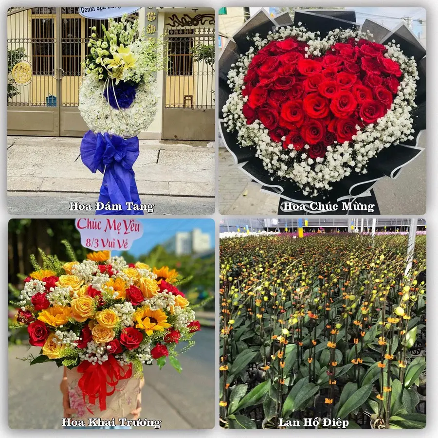 Dịch vụ đặt hoa và giao tận nơi tại Xã Cần Đước - Tỉnh Tây Ninh