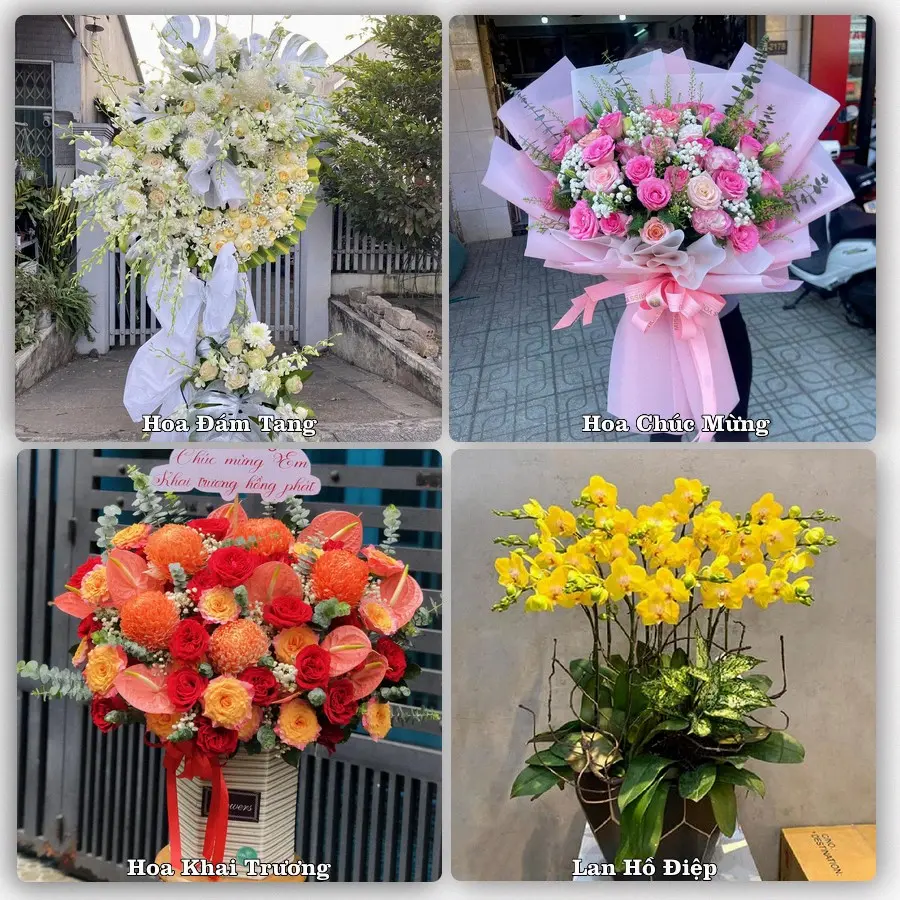 Tư vấn chọn hoa theo người nhận và dịp tặng tại Xã Cần Đước - Tỉnh Tây Ninh