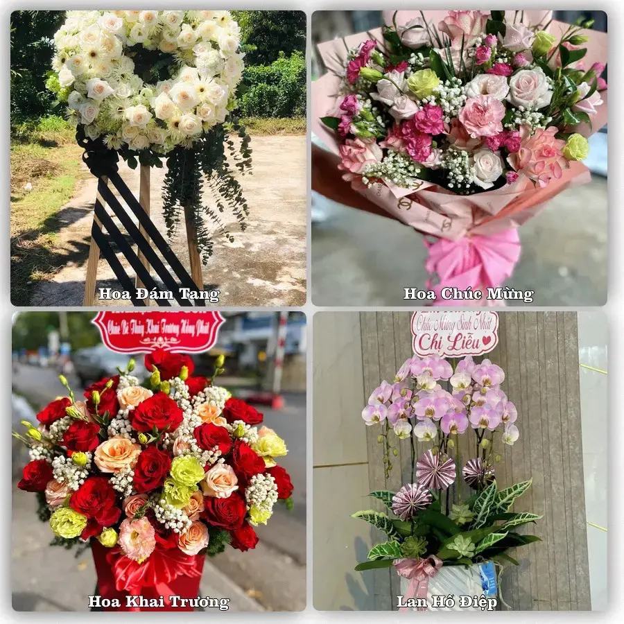 Mẫu hoa phục vụ nhu cầu đặt hoa tại Xã Đông Tiền Hải - Tỉnh Hưng Yên