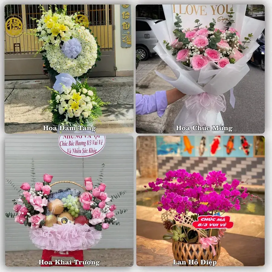 Tư vấn chọn hoa theo người nhận và dịp tặng tại Xã Đông Tiền Hải - Tỉnh Hưng Yên