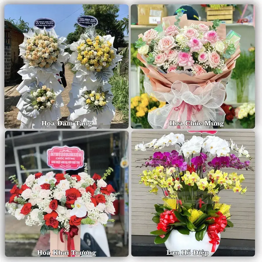 Tư vấn chọn hoa theo người nhận và dịp tặng tại Xã Hải Anh - Tỉnh Ninh Bình