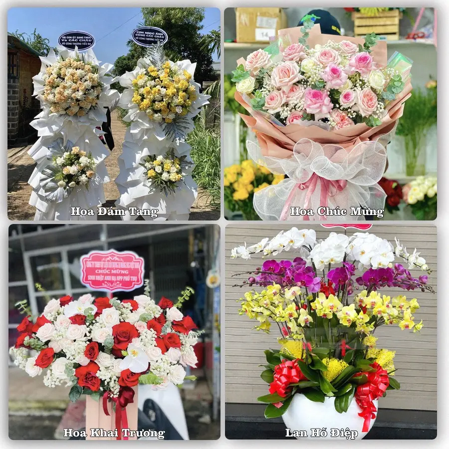 Tư vấn chọn hoa theo người nhận và dịp tặng tại Xã Hải Anh - Tỉnh Ninh Bình