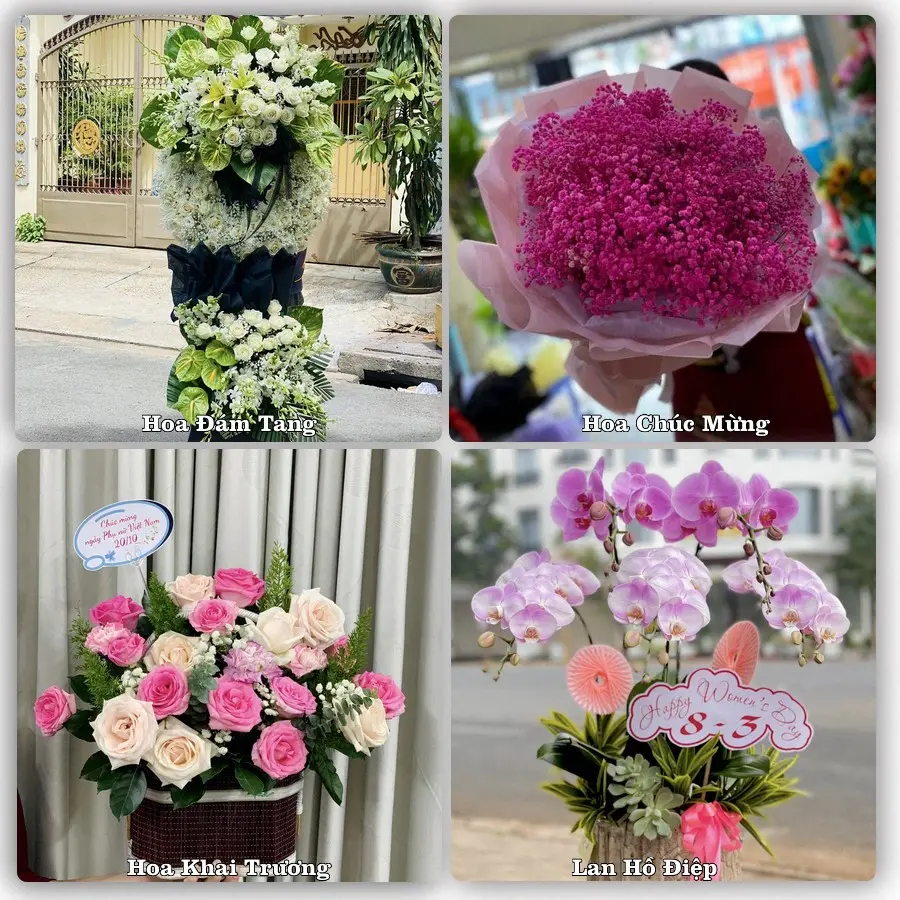 Dịch vụ đặt hoa và giao tận nơi tại Phường Hiệp Hòa - Tỉnh Quảng Ninh
