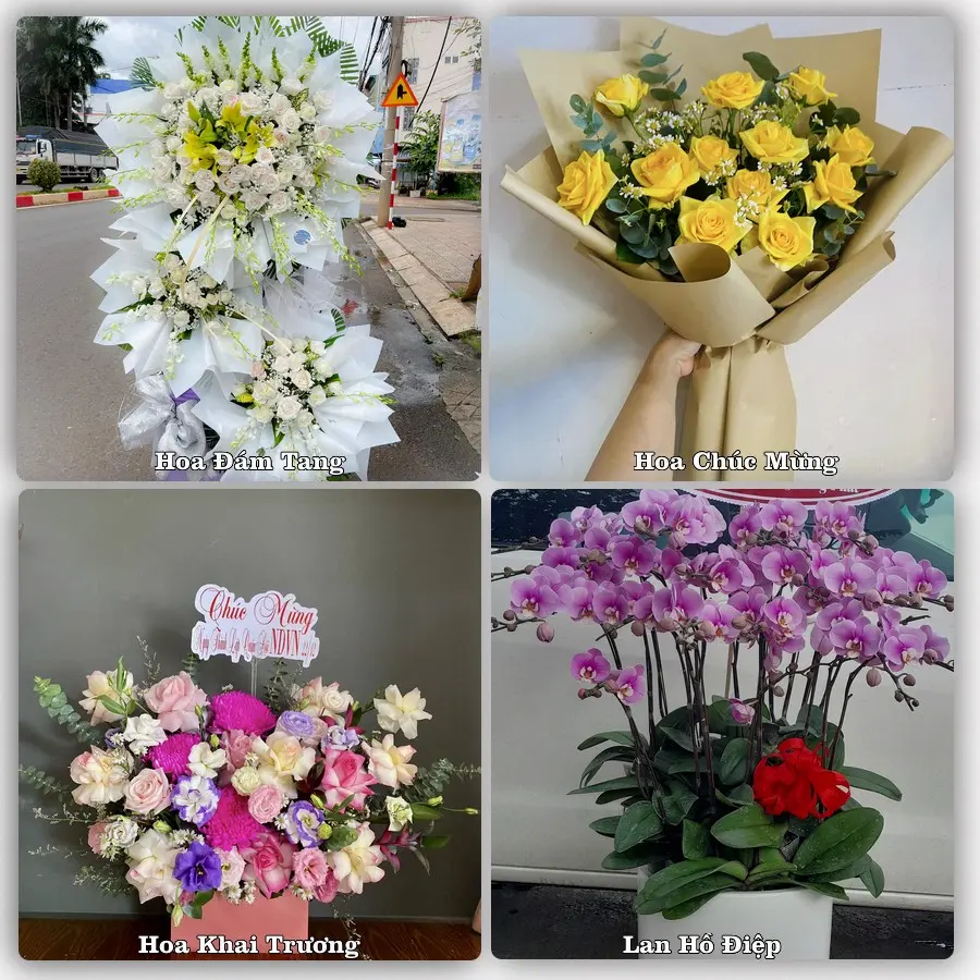Dịch vụ đặt hoa và giao tận nơi tại Xã Hợp Minh - Tỉnh Nghệ An