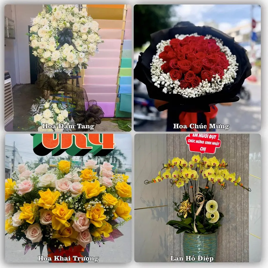 Tư vấn chọn hoa theo người nhận và dịp tặng tại Xã Hợp Minh - Tỉnh Nghệ An
