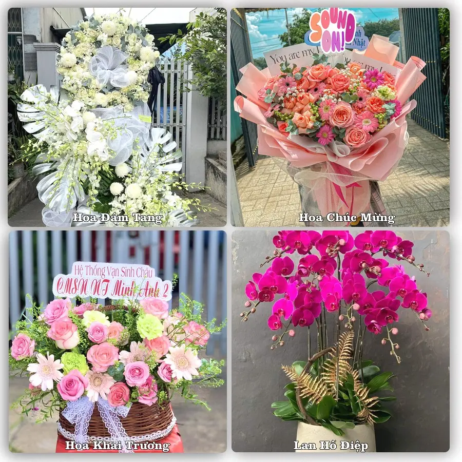 Tư vấn chọn hoa theo người nhận và dịp tặng tại Xã Hưng Hà - Tỉnh Hưng Yên