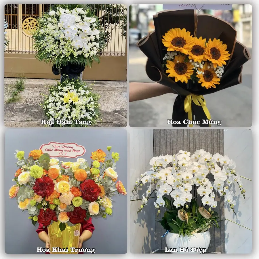 Tư vấn chọn hoa theo người nhận và dịp tặng tại Xã Long Hưng - Tỉnh Hưng Yên