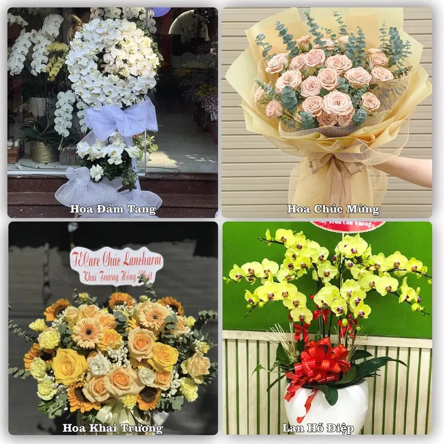 Tư vấn chọn hoa theo người nhận và dịp tặng tại Phường Nam Đông Hà - Tỉnh Quảng Trị
