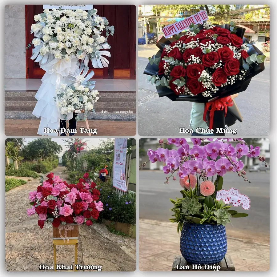 Tư vấn chọn hoa theo người nhận và dịp tặng tại Xã Nam Trực - Tỉnh Ninh Bình