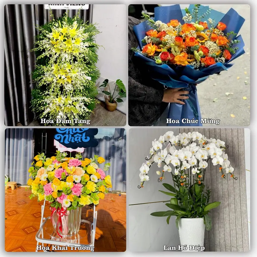 Tư vấn chọn hoa theo người nhận và dịp tặng tại Xã Tề Lỗ - Tỉnh Phú Thọ
