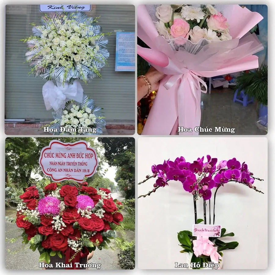 Mẫu hoa phục vụ nhu cầu đặt hoa tại Phường Xuân Hòa - Tỉnh Phú Thọ