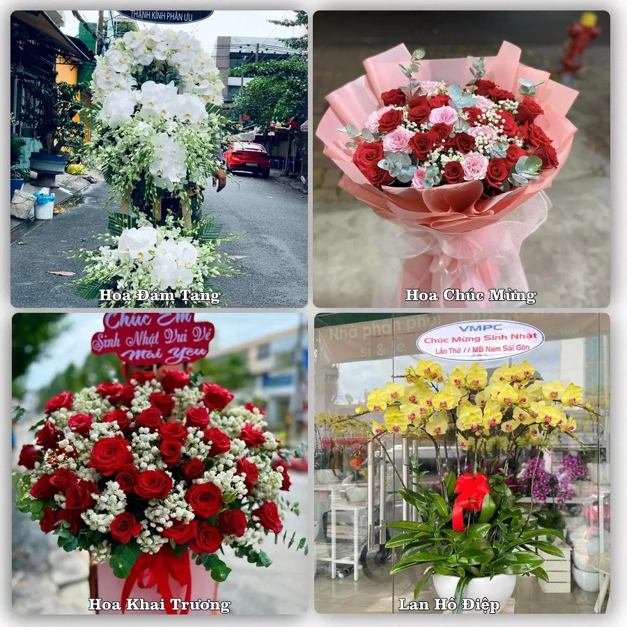 Tư vấn chọn hoa theo người nhận và dịp tặng tại Xã An Trường - Tỉnh Vĩnh Long