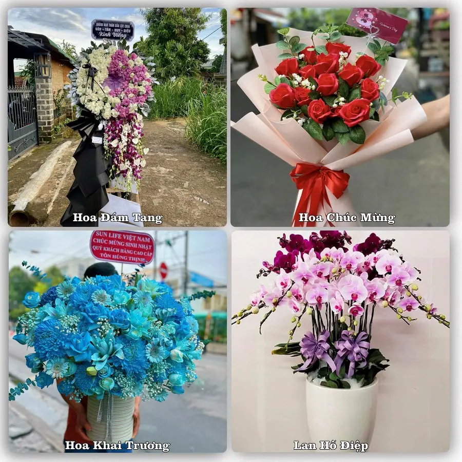 Dịch vụ đặt hoa và giao tận nơi tại Xã Cát Thành - Tỉnh Ninh Bình