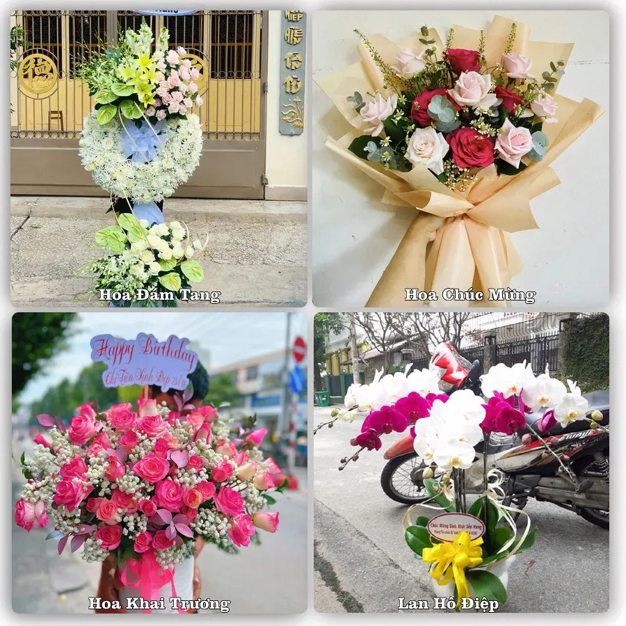 Tư vấn chọn hoa theo người nhận và dịp tặng tại Xã Cát Thành - Tỉnh Ninh Bình