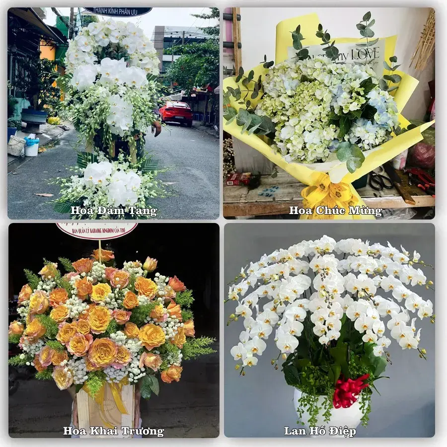 Giao hoa tươi tại Phường Đại Thành, Cần Thơ – đặt mẫu online
