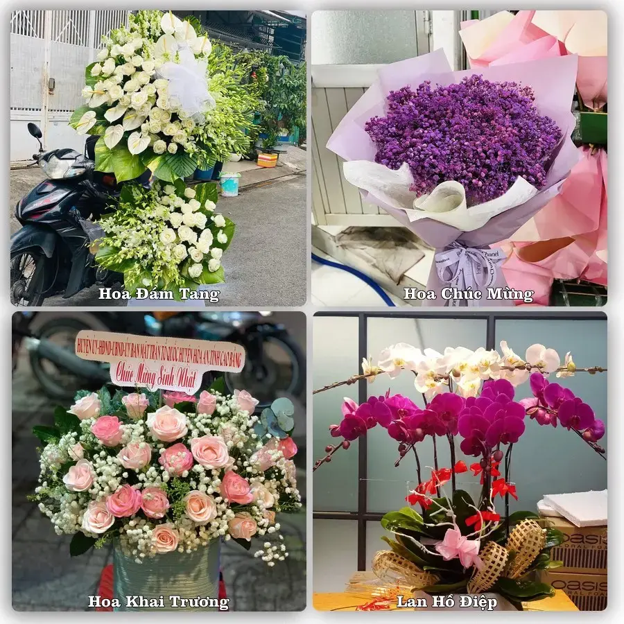 Shop hoa tươi Phường Diên Hồng, Gia Lai – đặt hoa theo dịp, giao tận nơi