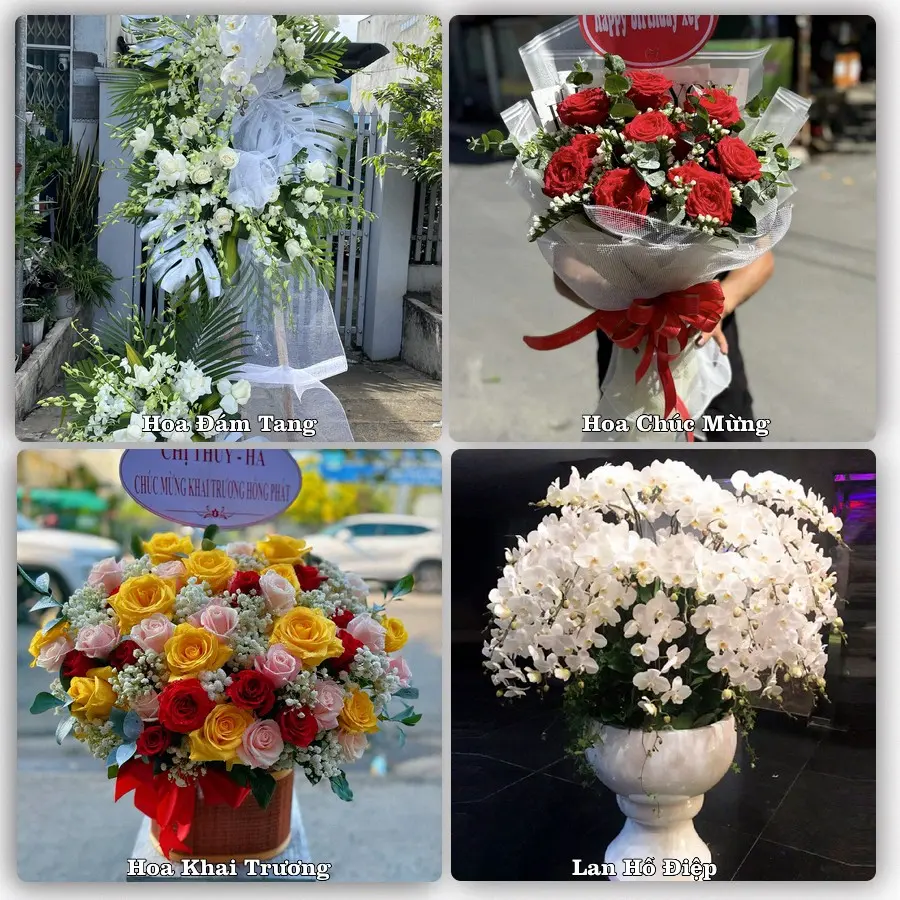 Dịch vụ đặt hoa và giao tận nơi tại Phường Đông Tiến - Tỉnh Thanh Hóa