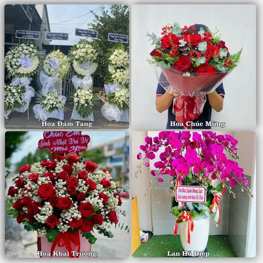 Giao hoa tươi tại Phường Đông Tiến, Thanh Hóa – đặt mẫu online
