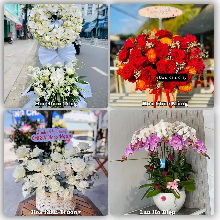 Tư vấn chọn hoa theo người nhận và dịp tặng tại Phường Đông Tiến - Tỉnh Thanh Hóa