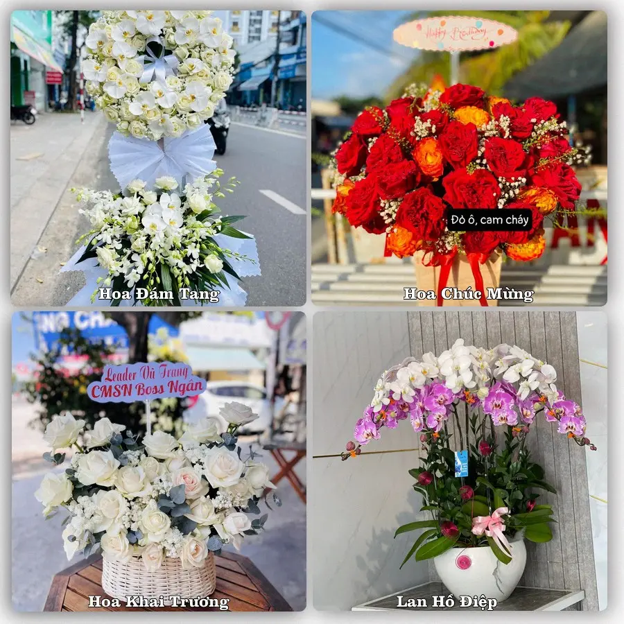 Tư vấn chọn hoa theo người nhận và dịp tặng tại Phường Đông Tiến - Tỉnh Thanh Hóa