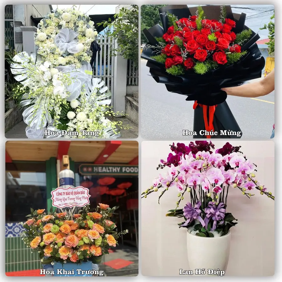 Dịch vụ đặt hoa và giao tận nơi tại Phường Hòa Hiệp - Tỉnh Đắk Lắk