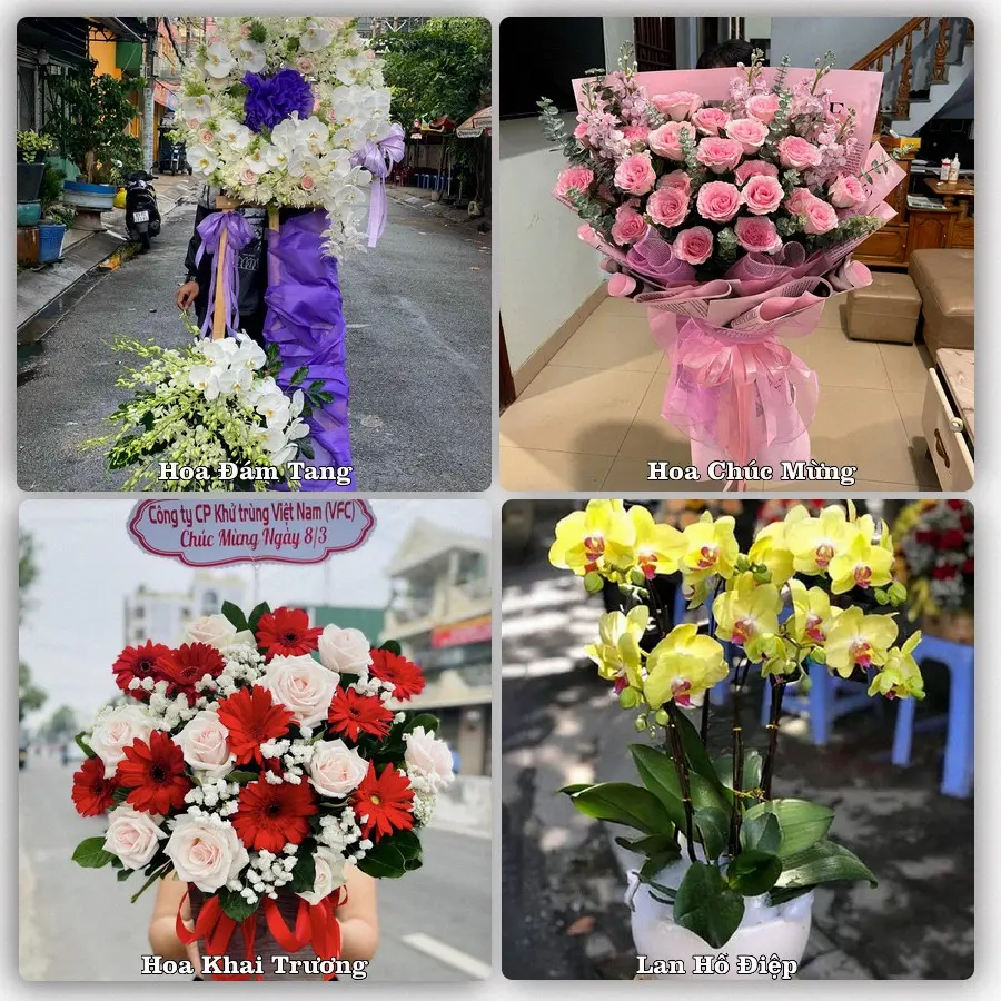 Tư vấn chọn hoa theo người nhận và dịp tặng tại Phường Hòa Hiệp - Tỉnh Đắk Lắk