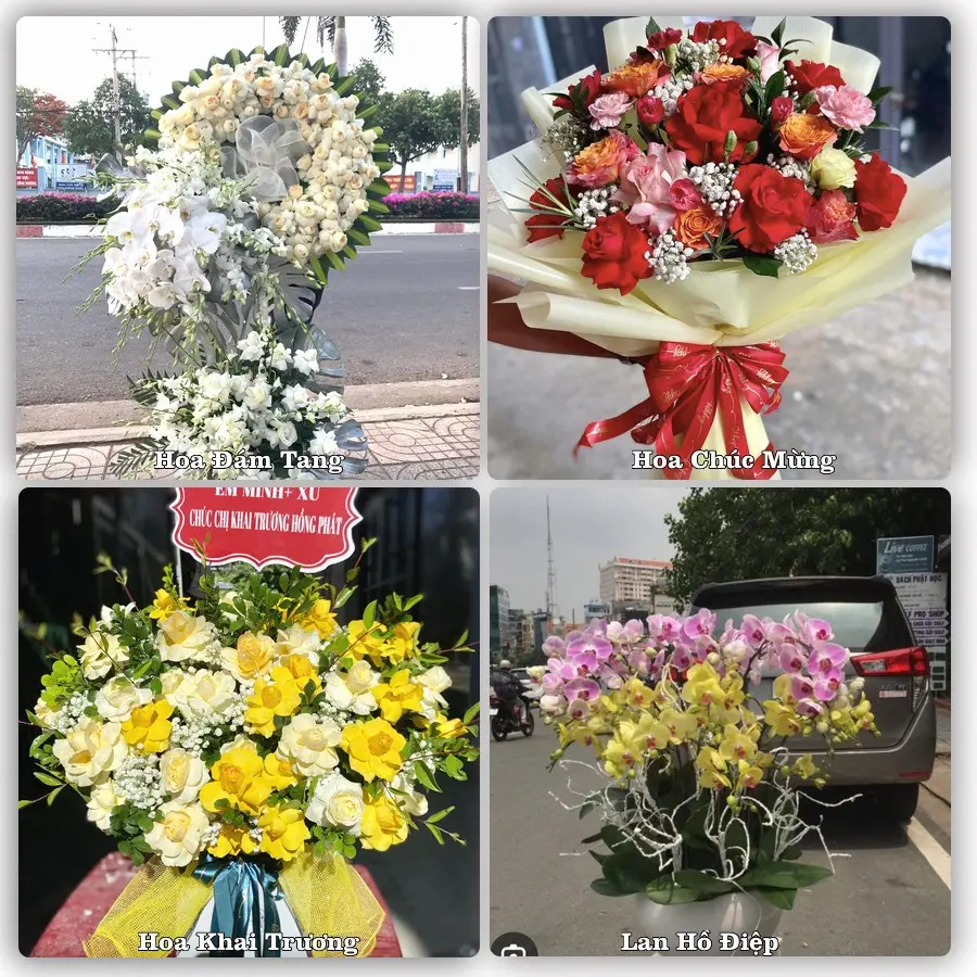 Tư vấn chọn hoa theo người nhận và dịp tặng tại Phường Hương An - Thành phố Huế