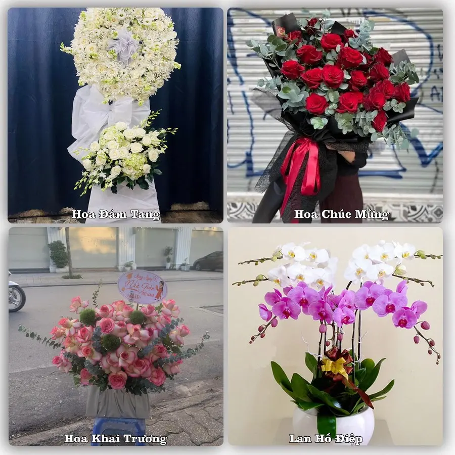 Dịch vụ đặt hoa và giao tận nơi tại Xã Quảng Điền - Thành phố Huế