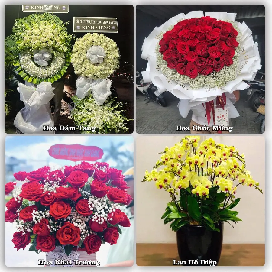 Mẫu hoa phục vụ nhu cầu đặt hoa tại Xã Quang Minh - Thành phố Hà Nội