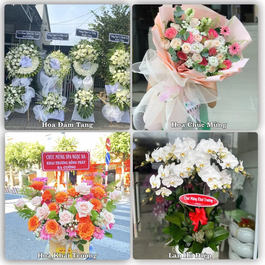 Mẫu hoa phục vụ nhu cầu đặt hoa tại Xã Quỳnh Anh - Tỉnh Nghệ An