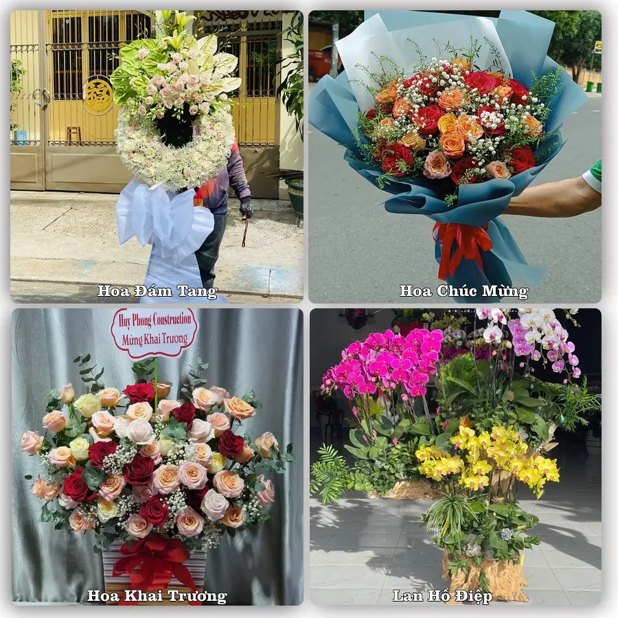 Tư vấn chọn hoa theo người nhận và dịp tặng tại Xã Quỳnh Anh - Tỉnh Nghệ An