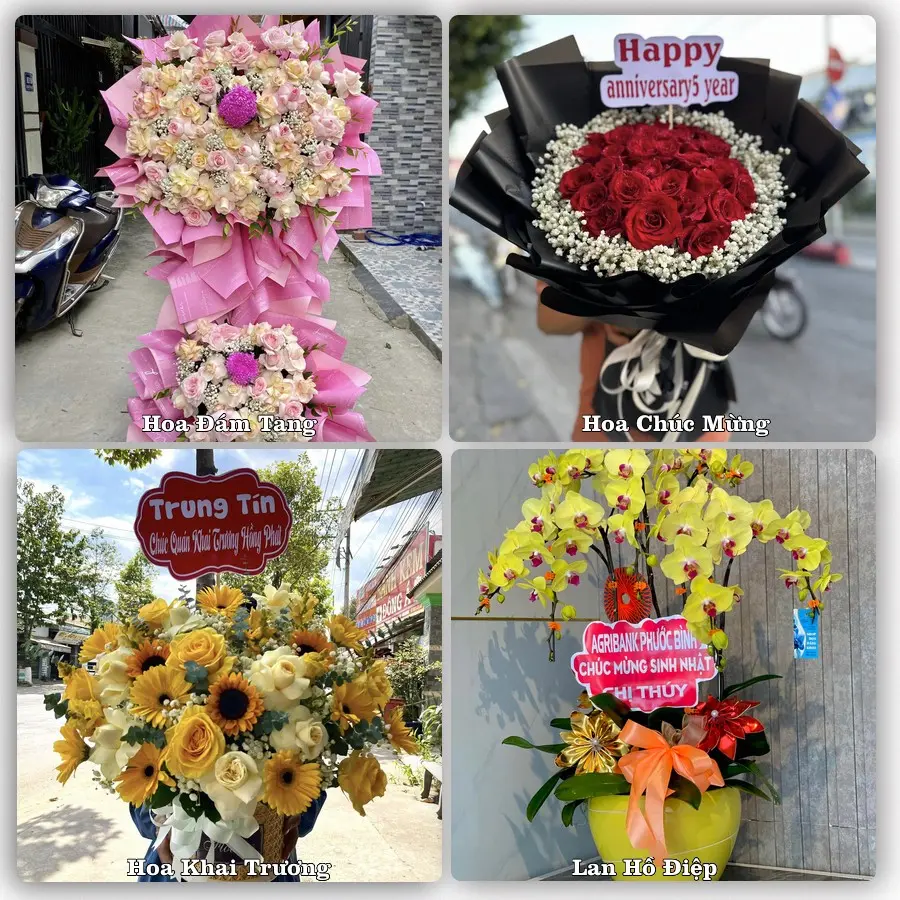 Mẫu hoa phục vụ nhu cầu đặt hoa tại Xã Thanh Hà - Thành phố Hải Phòng