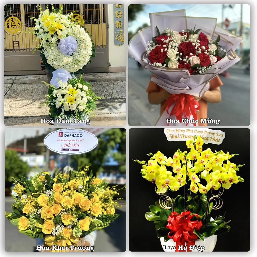 Tư vấn chọn hoa theo người nhận và dịp tặng tại Xã Thanh Hà - Thành phố Hải Phòng