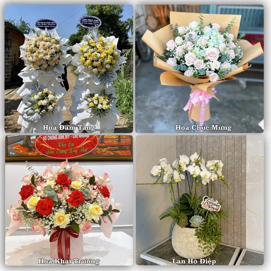 Tư vấn chọn hoa theo người nhận và dịp tặng tại Phường Vị Thanh - Thành phố Cần Thơ