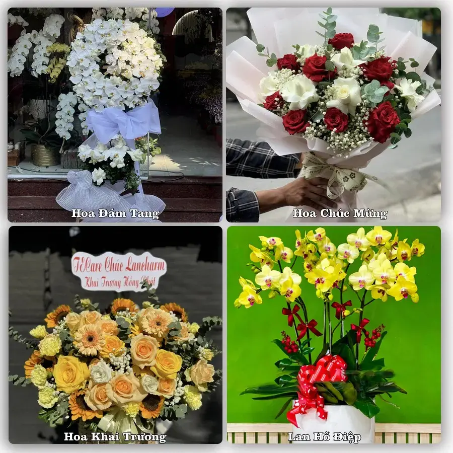 Giao hoa tươi tại Phường Vĩnh Thông, An Giang – đặt mẫu online