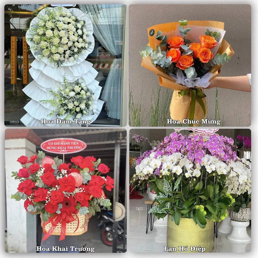 Tư vấn chọn hoa theo người nhận và dịp tặng tại Phường Vĩnh Thông - Tỉnh An Giang