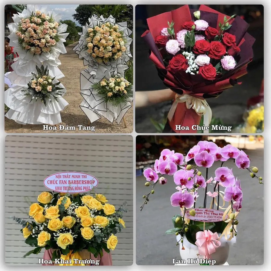 Tư vấn chọn hoa theo người nhận và dịp tặng tại Phường An Khê - Tỉnh Gia Lai